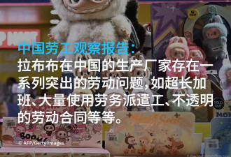 中国爆款玩具拉布布工厂存在突出劳工问题