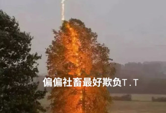 在外面吃得越多，寿命越短吗？