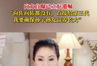 向太自曝已立好遗嘱：向佐向佑都没有，直接留给孙子孙女