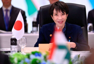 中国大玩稀土牌 日本蓄势反击？