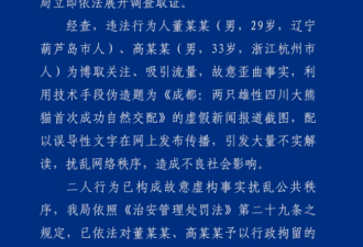 “两雄性大熊猫成功自然交配”疯传 结果…