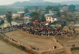 数千人到场,10万人围观,“杀年猪”凭啥让全网...