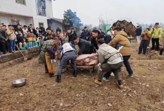 数千人到场,10万人围观,“杀年猪”凭啥让全网...