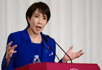 高市早苗政治豪赌！挟高人气解散国会