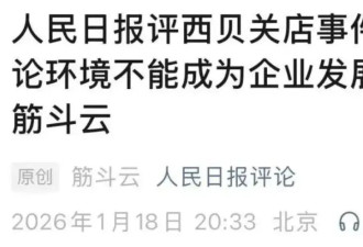 人民日报下场，罗永浩有点危险了