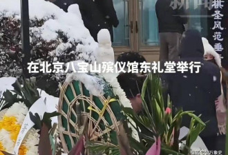 聂卫平葬礼，女儿聂云菲一行为，获得一致好评