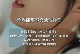 向太陈岚称只有生理性喜欢才是真喜欢:碰都不喜欢