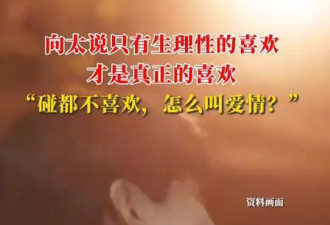 向太陈岚称只有生理性喜欢才是真喜欢:碰都不喜欢