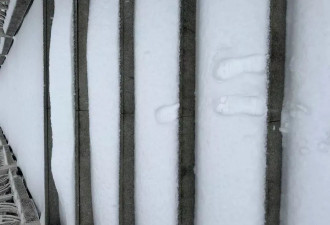 一场大雪袭来 湖北多地积雪达10—15厘米