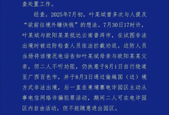 警情通报，叶文斌事件反转了