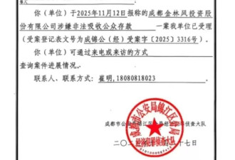华人大妈的“疯狂骗局”：组织炒房团狂骗900亿