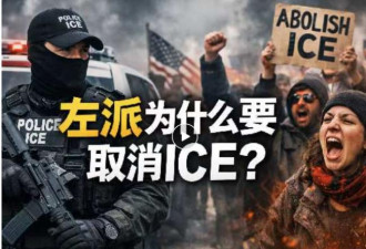 美国政治连续剧 明尼苏达这一季太离谱