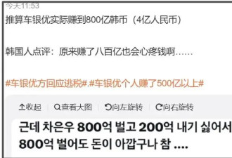 车银优赚800亿逃税200亿！涉及金额是宋慧乔的8倍，全智贤也逃过