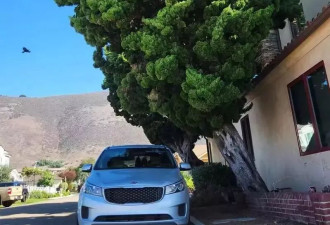 华裔女导演“以车为家” 途中遭盗车 全部家当一夜尽失