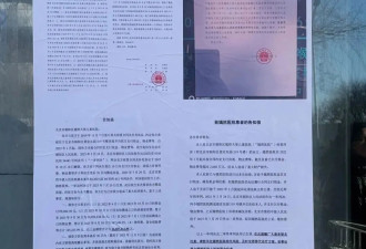 保卫“嫣然”：寒潮里的最后托举