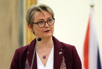 英外交大臣：暂不会加入“和平委员会” ....