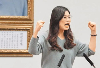 法案乔不拢 “蓝白合”隐现裂痕 最大变数是柯文哲？