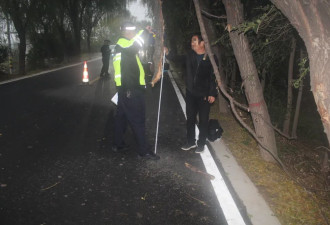 教师骑车上班途中“撞树枝”身亡 镇政府被判赔76万