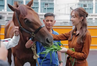 恭喜！TVB知名女星突然富贵成马主 爱驹拉头马获254万奖金