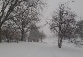 加拿大滑雪者在班夫雪场触发雪崩被卷下山！埋到腰部！