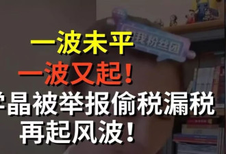 背人命债、逼儿媳吃剩饭，闫学晶露面后又牵出一大佬