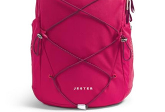 8.5 折，THE NORTH FACE 女式 Jester 日常笔记本电脑背包