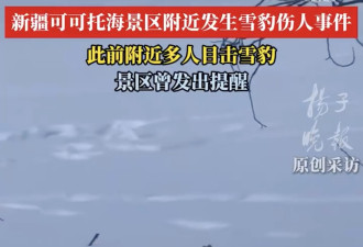 滑雪游客回宾馆途中被雪豹咬伤 官方通报