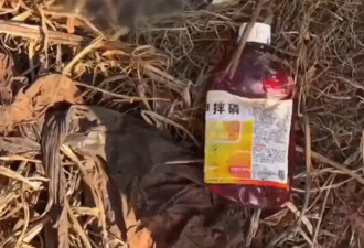 云南种植户用高毒农药种红薯 当地成立联合调查组