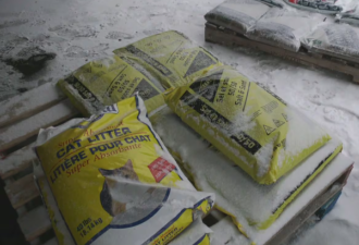 暴雪天"刚需品"告急: 安省多地断货+限购！价格暴涨220%