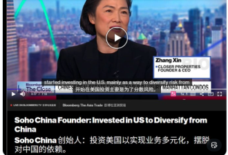 成功跑路 张欣告诫：尽快摆脱对中国市场依赖