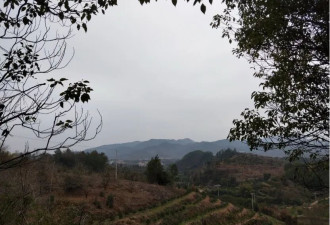 一个女人决定下山离婚