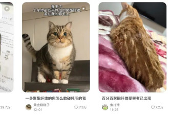 “穷人的貂”2000一件，让多少人破防了？