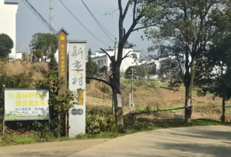 实探“抢猪肉”风波中的株洲小村：村民否认抢猪肉