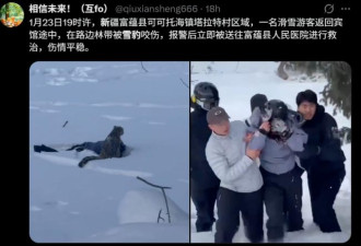 新疆雪豹伤人 游客“满面是血”痛苦画面曝