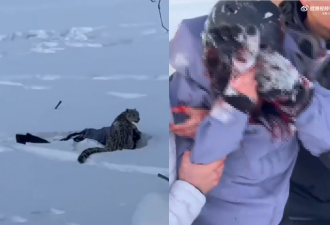 罕见 中国女游客遭雪豹扑咬 画面相当骇人