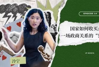 国家如何收买企业？一场政商关系的"猫鼠游戏"