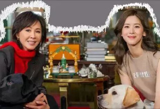 "奶茶妹妹"章泽天翻车：没实力的大女主人设，真的很尬