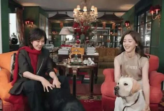 "奶茶妹妹"章泽天翻车：没实力的大女主人设，真的很尬