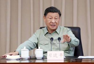 不惜动摇国本抓张又侠 看习近平治国三事