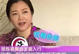 不顾央视警告顶风作案,与刘涛传出绯闻的杨烁,还是走到了这一步
