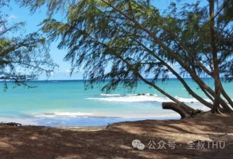 美国见闻|茂宜岛的风浪与静好
