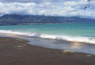 美国见闻|茂宜岛的风浪与静好