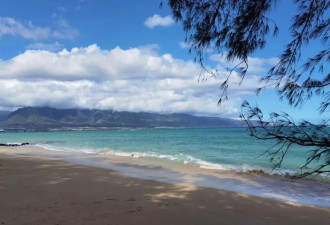 美国见闻|茂宜岛的风浪与静好