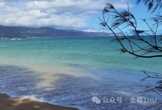 美国见闻|茂宜岛的风浪与静好