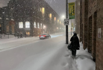 周一学校全面停课！60cm暴雪直砸多伦多！全市进入重大雪灾状态
