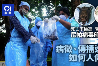 尼帕病毒Nipah Virus印度爆发 人与人之间怎传播?