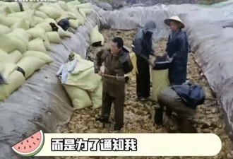 老坛酸菜再暴雷 比315“臭脚门”还炸裂