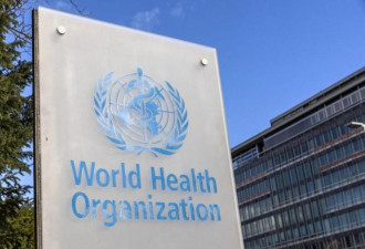 马堡病毒疫情酿9死后 世卫：这国家宣布疫情结束