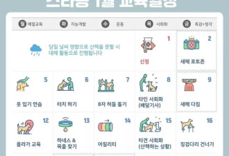 不生孩子的韩国年轻人，花几千元送狗上学
