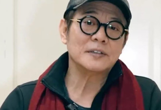 刘德华甄子丹力挺！李连杰41岁"儿子"用拳头打回巅峰